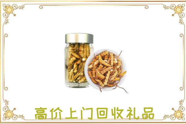 塔城周边回收虫草